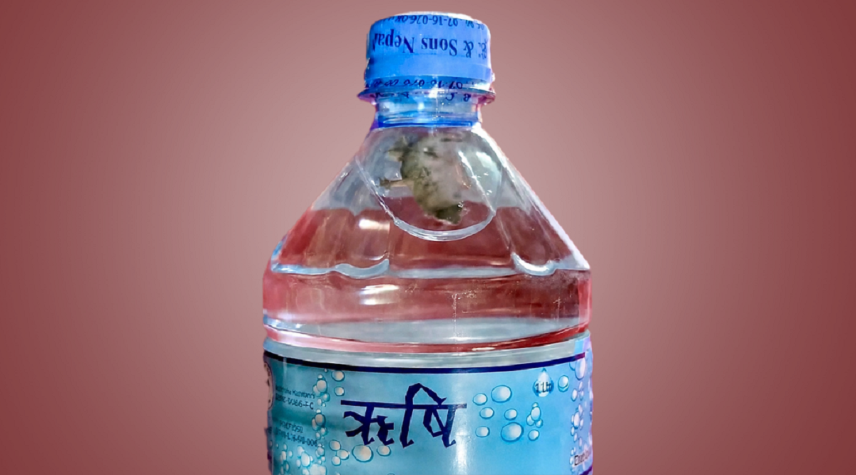 सिलप्याक पानीको बोतलभित्र छेपारो भेटिएपछि…